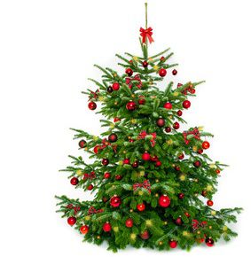 Frohe Weihnachten!