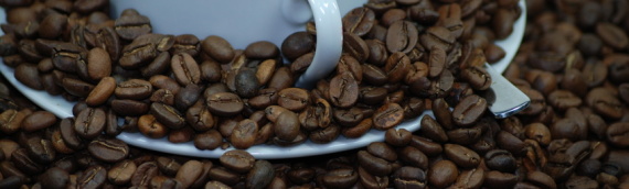 Starbucks Coffee Company – mehr als nur Kaffee