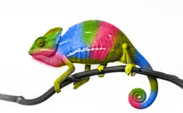 Vitale Dinosaurier