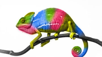 Vitale Dinosaurier