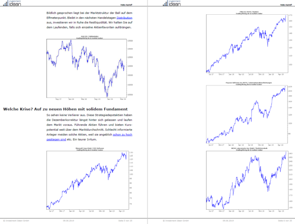 Auszug Aktienbrief Investment Ideen vom 9.6.2019 - welche Krise?